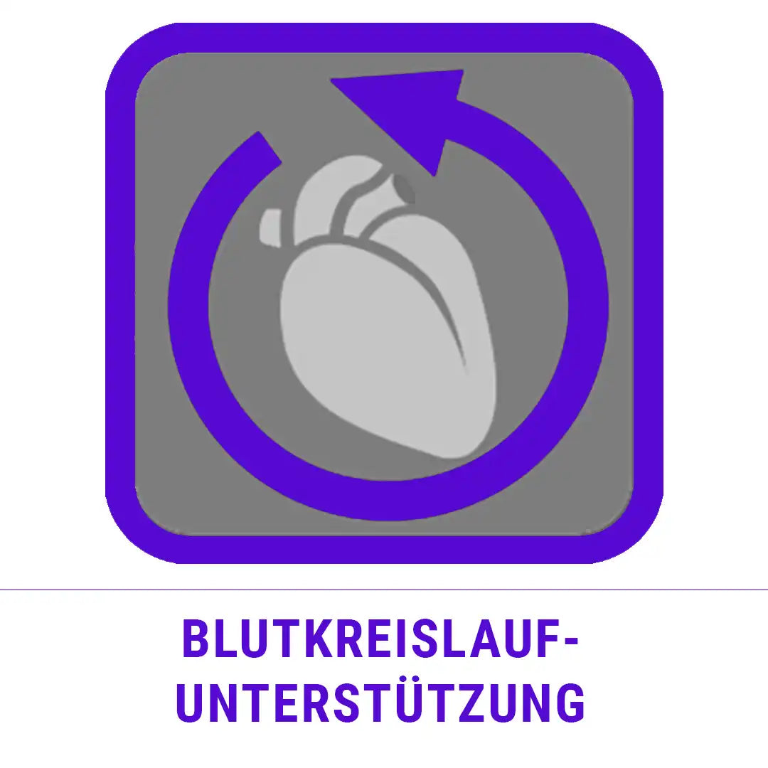 Illustration zur abgestuften Kompression der Janastyle Stützkniestrümpfe für eine verbesserte Blutzirkulation.